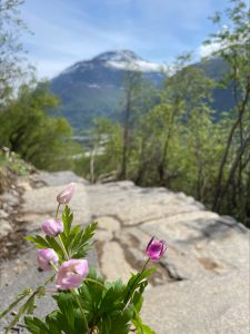 utsikt til sunndalsfjell om våren fra vinnutrappa